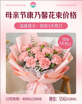 永州双牌县花店母亲节康乃馨花束