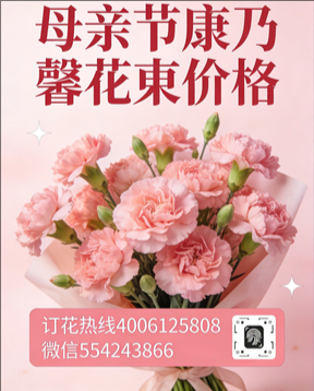 永州双牌县花店母亲节康乃馨花束